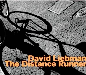 DAVID LIEBMAN - THE DISTANCE RUNNER