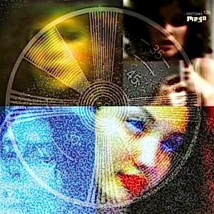 MARK VAN HOEN - THE REVENANT DIARY