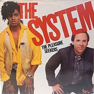 THE SYSTEM - THE PLEASURE SEEKERS