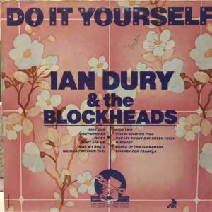 IAN DURY & THE BLOCKHEADS - DO IT YOURSELF