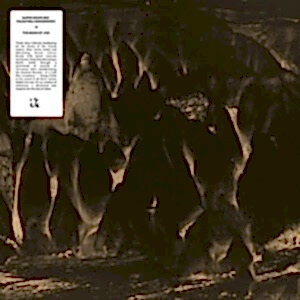 SUPER GRUPA BEZ FALSZYWEJ SKROMNOSCI - THE BOOK OF JOB